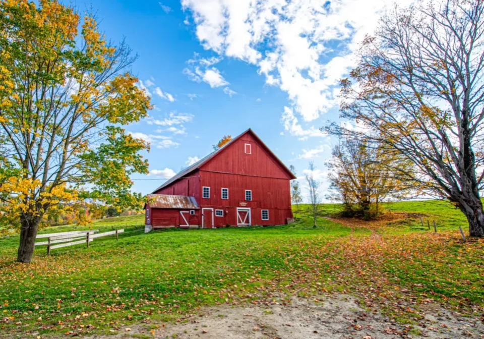 Red barn surrounded by trees and grass.